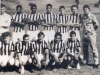 1971 – Em pé, Mário Santamaria, Zé Maria, Paulo, Carlinhos, Gê Blasi, Neno e o treinador Gilvan Silveira; agachados, Foguinho, Luizinho, Everaldo, Leivinha e Wilson. 